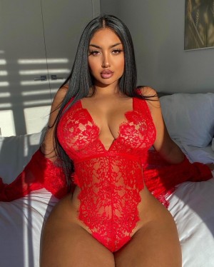 arianasayani Nude Leaks OnlyFans Photos #1